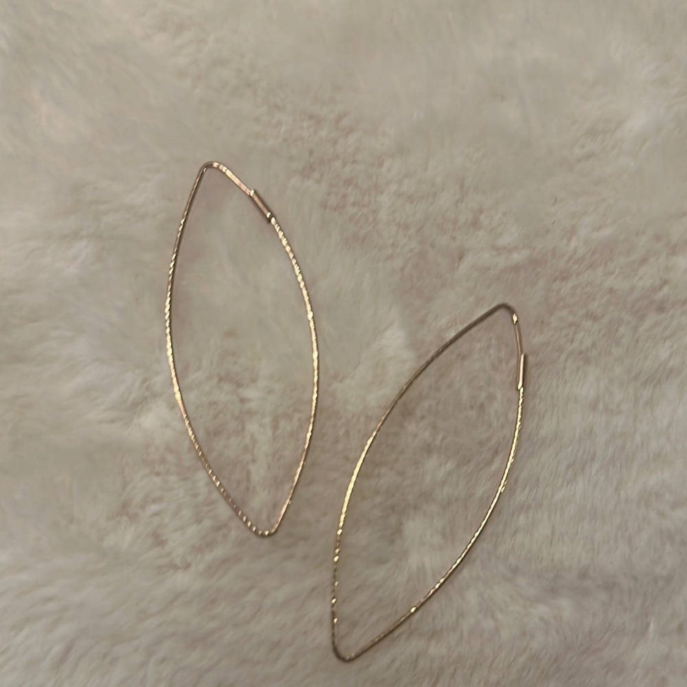 Elegant Gold Hoop Earrings
